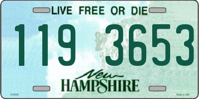 NH license plate 1193653