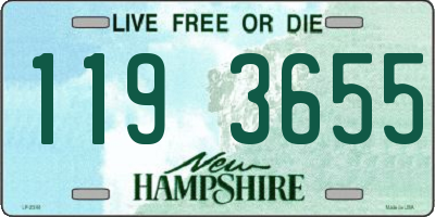 NH license plate 1193655