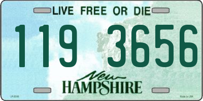 NH license plate 1193656