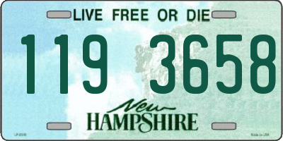 NH license plate 1193658