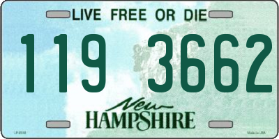 NH license plate 1193662
