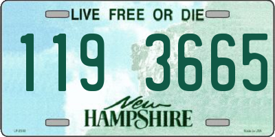 NH license plate 1193665