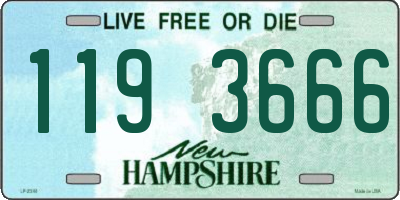 NH license plate 1193666