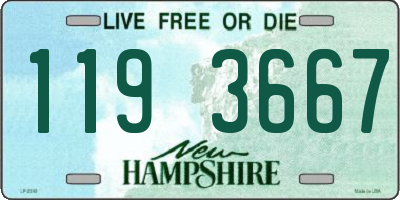 NH license plate 1193667