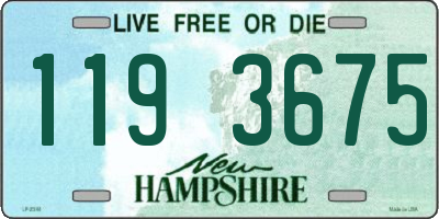 NH license plate 1193675