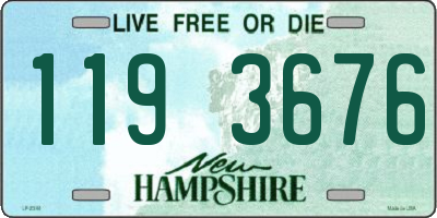 NH license plate 1193676