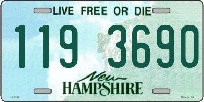 NH license plate 1193690