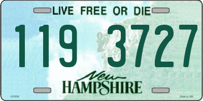 NH license plate 1193727