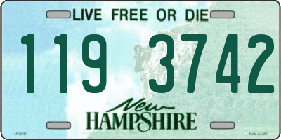 NH license plate 1193742