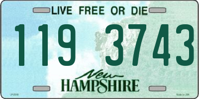 NH license plate 1193743
