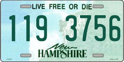 NH license plate 1193756
