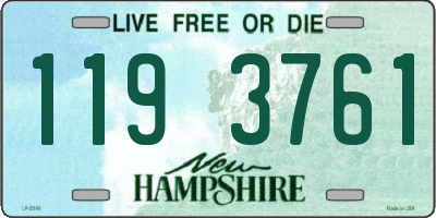 NH license plate 1193761