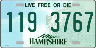NH license plate 1193767