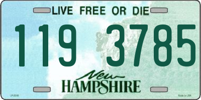 NH license plate 1193785