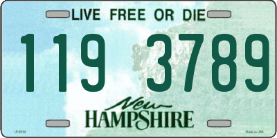 NH license plate 1193789