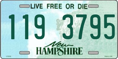 NH license plate 1193795
