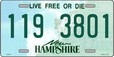 NH license plate 1193801