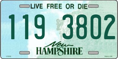 NH license plate 1193802