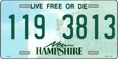 NH license plate 1193813