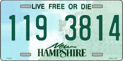 NH license plate 1193814