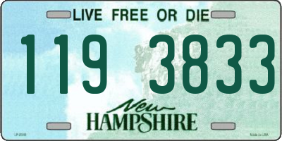 NH license plate 1193833