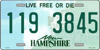 NH license plate 1193845
