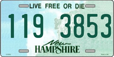NH license plate 1193853