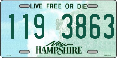 NH license plate 1193863