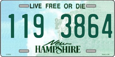 NH license plate 1193864