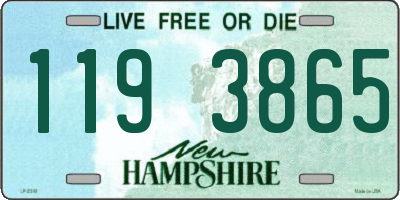 NH license plate 1193865