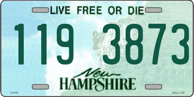 NH license plate 1193873