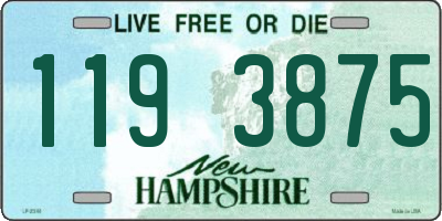 NH license plate 1193875