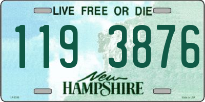 NH license plate 1193876