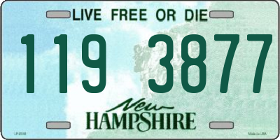NH license plate 1193877
