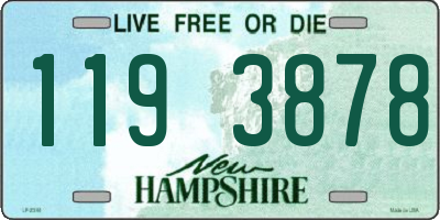 NH license plate 1193878