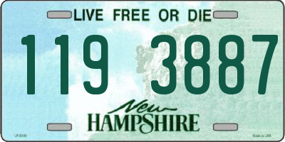 NH license plate 1193887