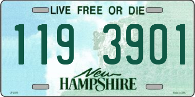 NH license plate 1193901