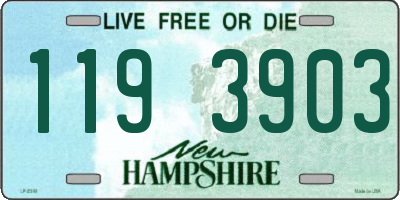 NH license plate 1193903