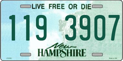 NH license plate 1193907
