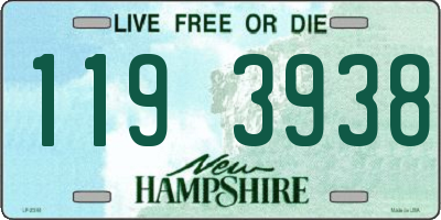 NH license plate 1193938