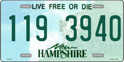 NH license plate 1193940