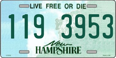 NH license plate 1193953