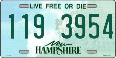 NH license plate 1193954
