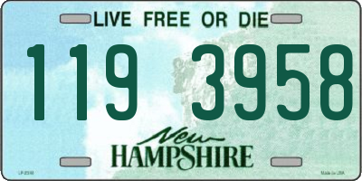 NH license plate 1193958