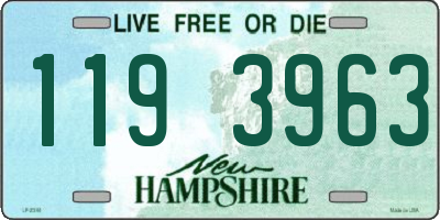 NH license plate 1193963
