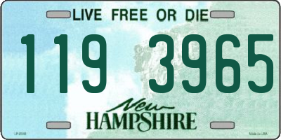 NH license plate 1193965