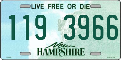 NH license plate 1193966