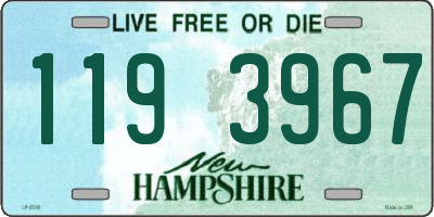 NH license plate 1193967