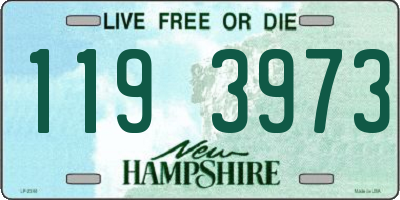 NH license plate 1193973