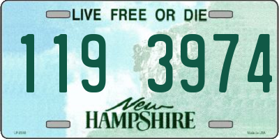 NH license plate 1193974